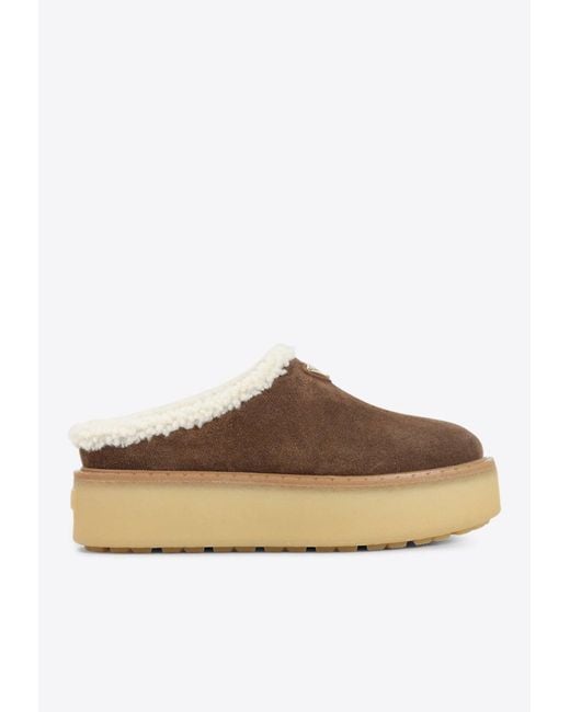 Prada Brown Triangle Logo Suede Flatform Mules