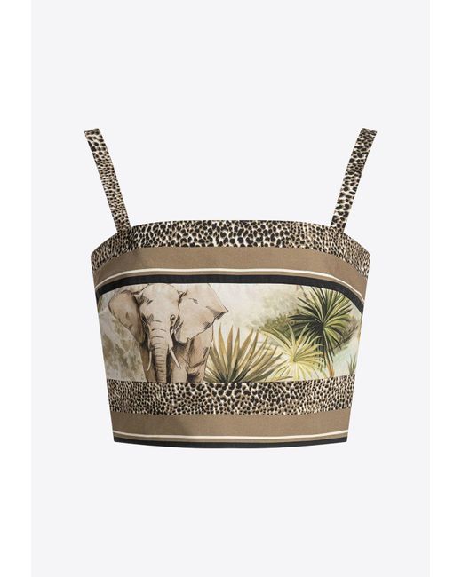 Elie Saab Gray Savannah Print Cropped Top