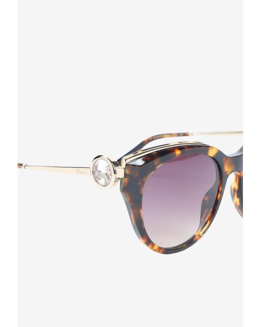 Chopard Brown Cat-Eye Acetate Sunglasses