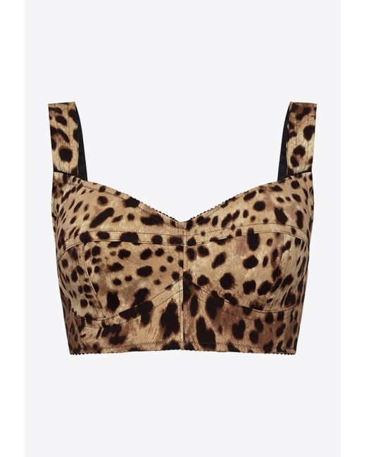 Dolce & Gabbana Brown Leopard Print Bustier Cropped Top