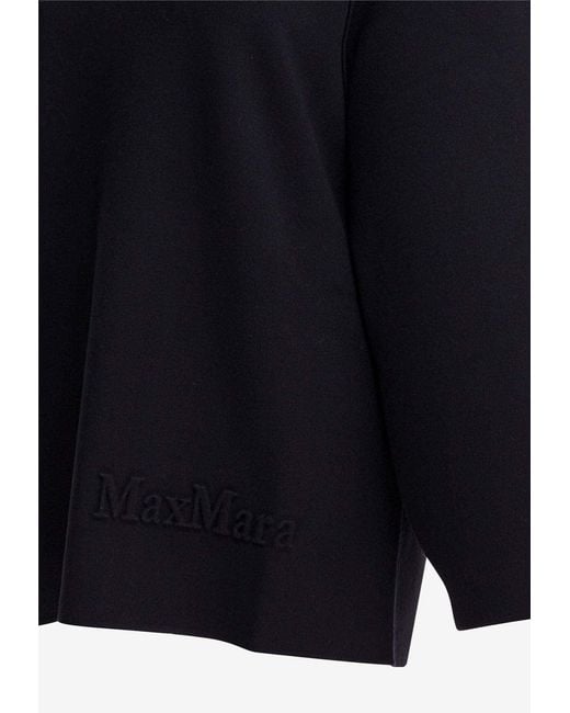 Max Mara Blue Dumbo Wool-Blend Sweater