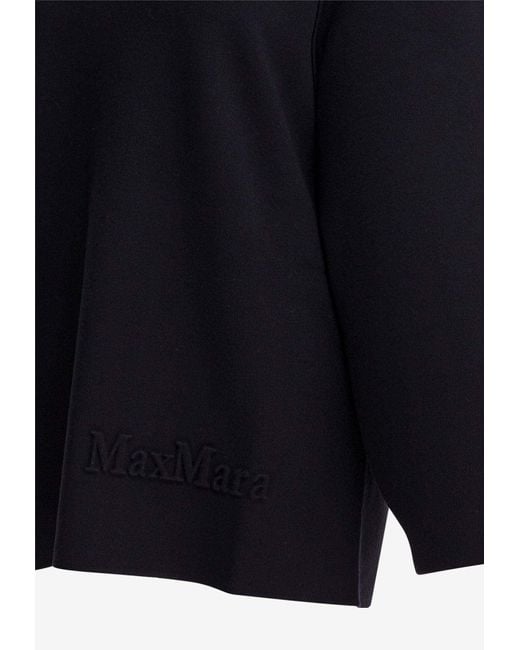Max Mara Blue Dumbo Wool-Blend Sweater