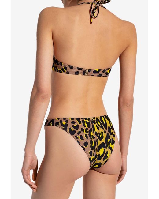 Stella McCartney Brown Leopard-Print Bikini Top