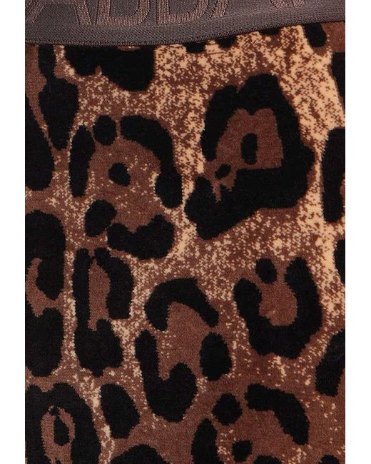 Dolce & Gabbana Brown Leopard Print Jacquard Leggings