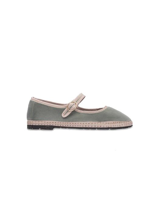 Flabelus Gray Uta Mary Jane