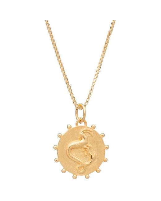 Rachel Jackson Metallic Zodiac Art Coin Necklace