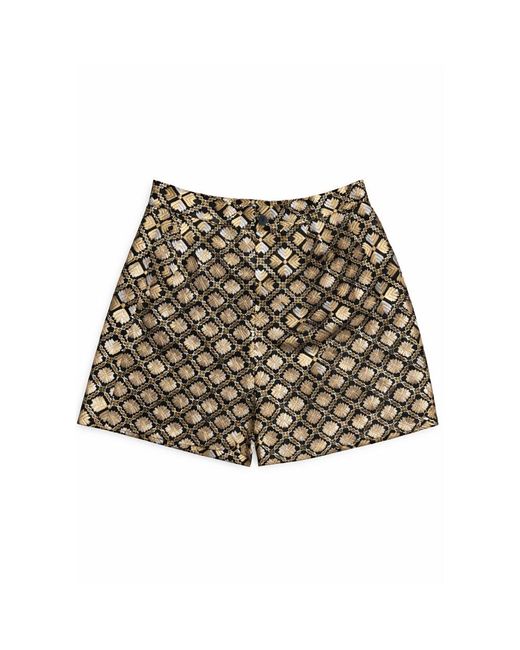Greek Archaic Kori Brown Geo Embroidered Shorts