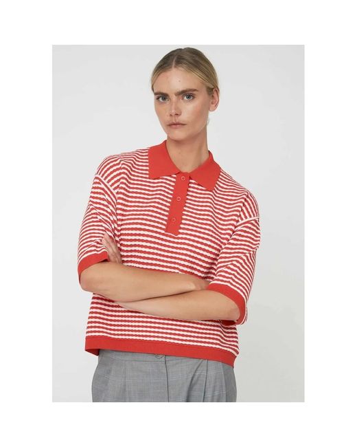 Stella Nova Red Polo Knit