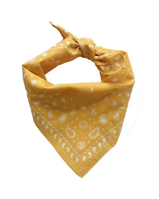 lescarf Metallic Cotton Paisley Scarf