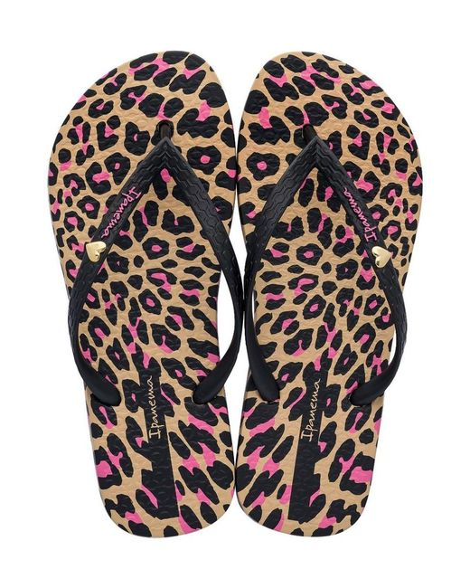 animal flip flops debenhams