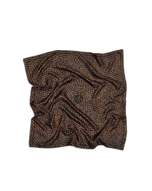 lescarf Brown Leo Silk Scarf 80