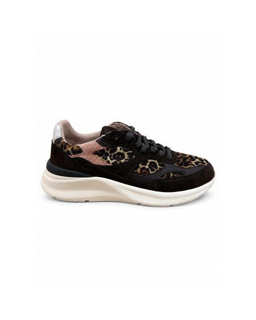 Date Black Musa Animalier Trainer