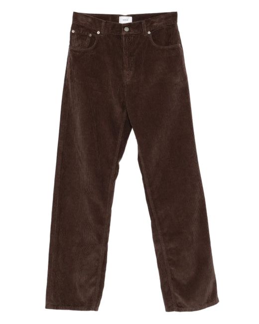 Haikure Brown Cotton Ribbed Trousers