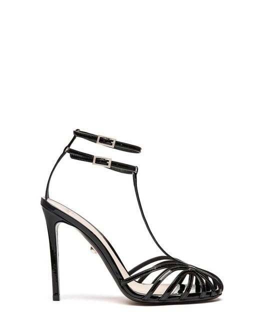 ALEVI Black Charme