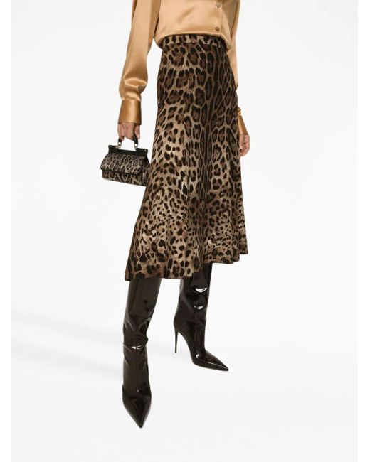 Gonna a ruota in cady stampa leopardo di Dolce & Gabbana in Brown