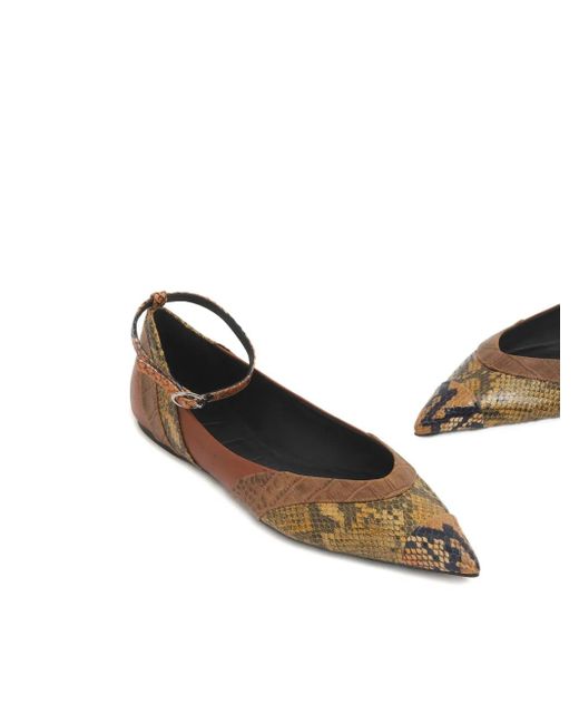 Ballerine A Punta Con Cinturino Alla Caviglia di Marni in Brown