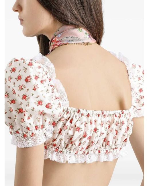 Dolce & Gabbana Multicolor Cropped Top
