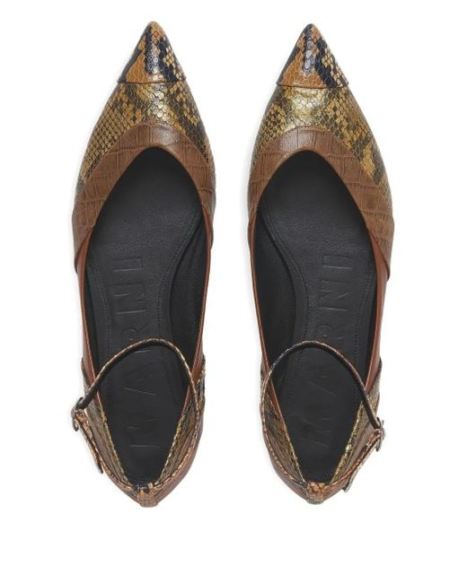 Ballerine A Punta Con Cinturino Alla Caviglia di Marni in Brown