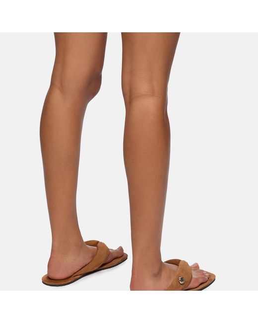 The Attico Brown Indie' Flat Thong