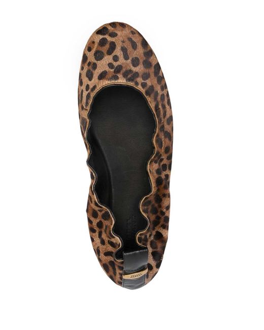 Isabel Marant White Leopard-Print Ballerina Shoes