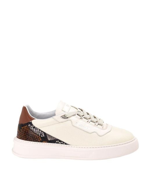 Roberto Cavalli Natural Sneakers for men