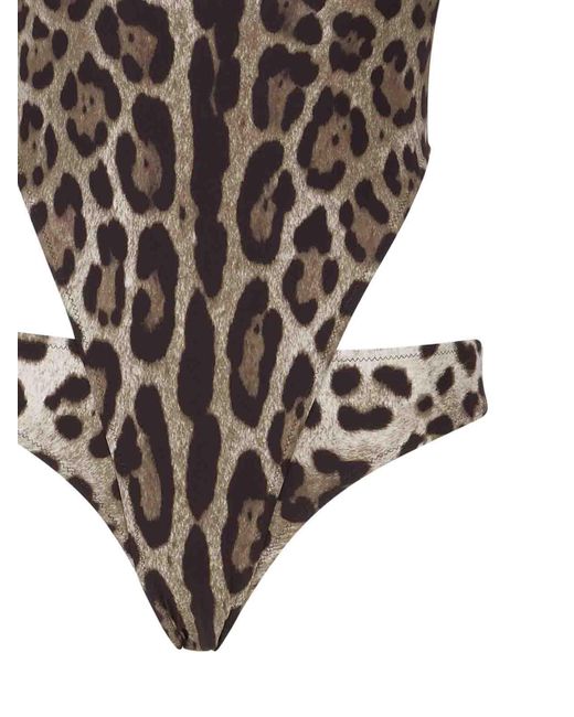 Dolce & Gabbana Brown Leopard Print One-piece Swimsuit With Cut-out