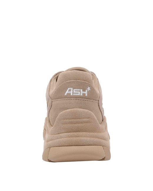 Ash Brown Addictbis Sneakers