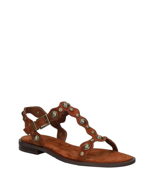 Ash Brown Cmere Tajine