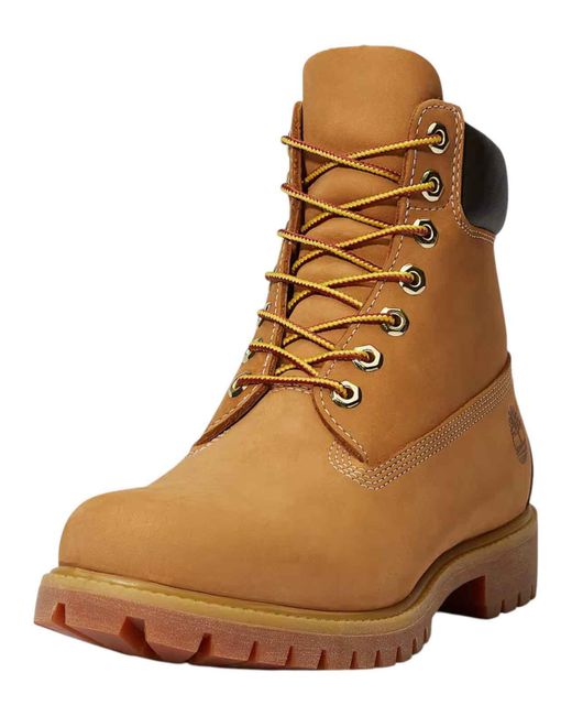 Timberland Brown Shoes for men