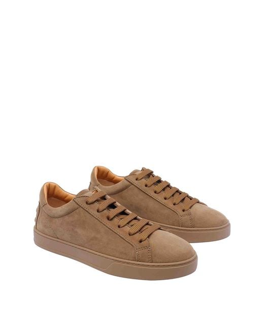 Tod's Brown Sneakers for men