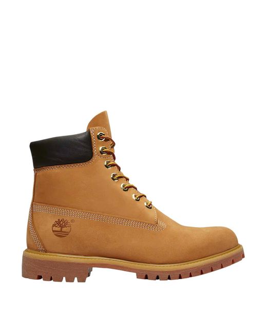 Timberland Brown Shoes for men