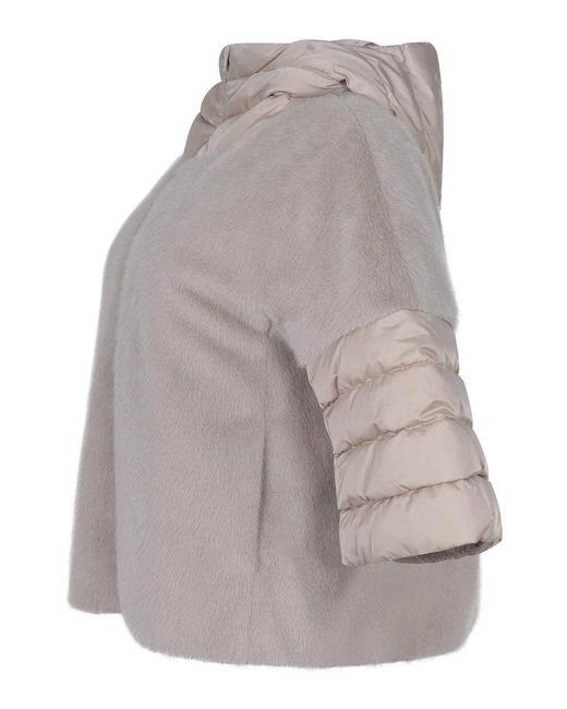 Herno Gray Coats