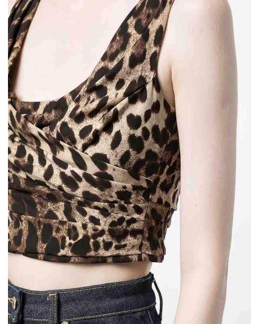Dolce & Gabbana Brown Top Leo New