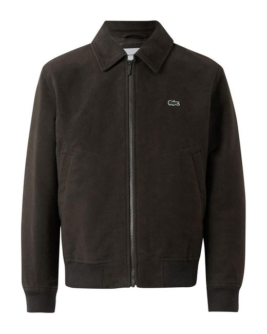 Lacoste Black Padded Moleskin for men