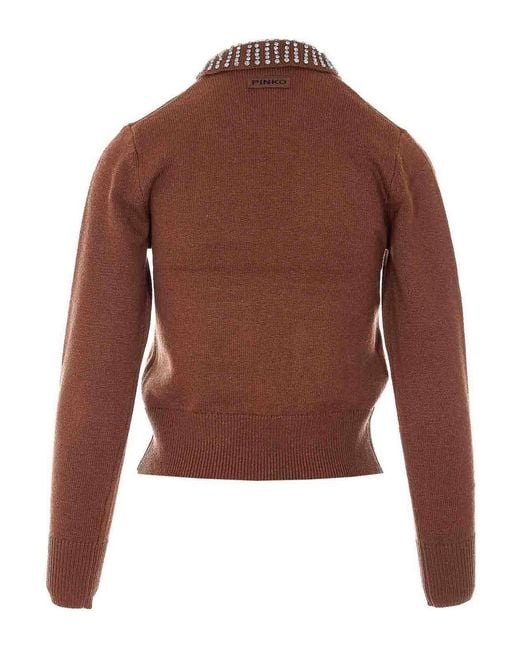 Pinko Brown Ventotene Sweater
