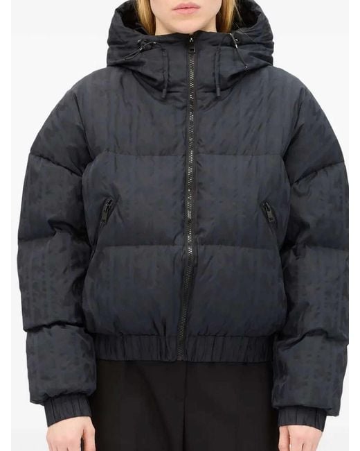MSGM Blue Hooded Jacket