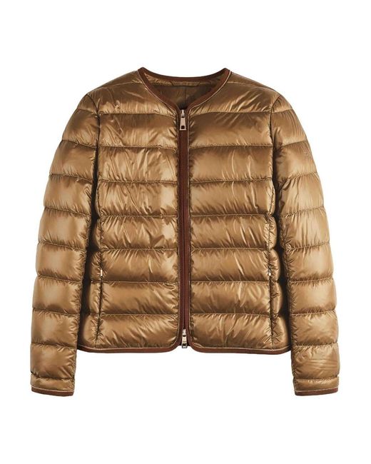 Fay Brown Light Girocbordgros+Caten