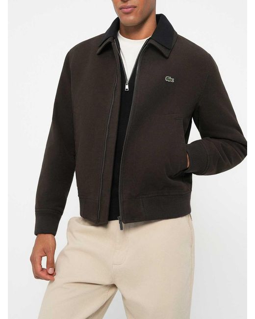 Lacoste Black Padded Moleskin for men