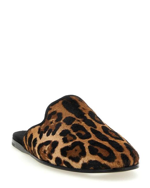 Dolce & Gabbana Brown Loafers for men