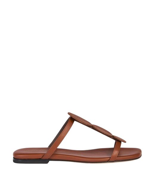 Liviana Conti Brown Flat Mules Dots