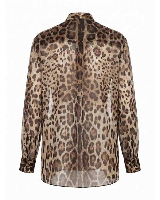 Dolce & Gabbana Brown Leopard-Print Shirt