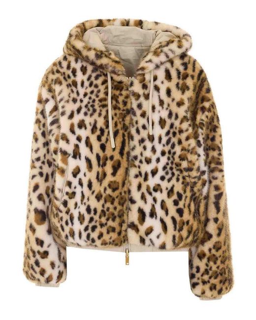 Moose Knuckles Natural Eaton Bunny Jacket