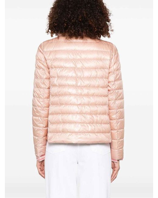 Herno Pink Jacket