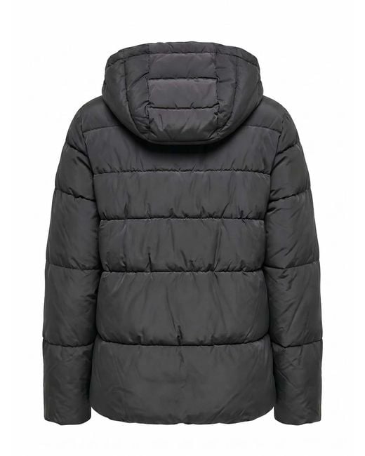 Pinko Black Eleodoro Caban