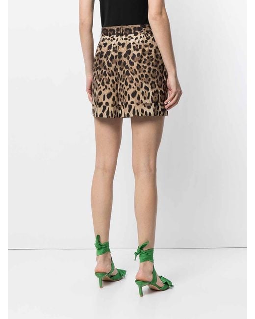 Dolce & Gabbana Multicolor High-Rise Leopard-Print Cotton Short Shorts