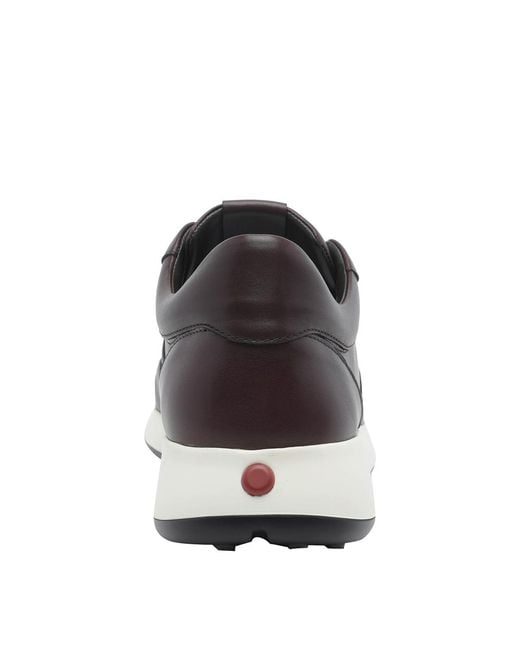 Tod's Brown Dot Sneakers for men