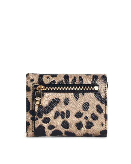 Dolce & Gabbana Gray Dauphine Leopard Leather Portafolgio