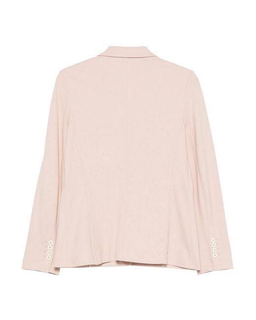 Circolo 1901 Pink Stretch Cotton Single-Breasted Blazer