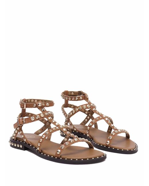 Ash Brown Cachemere Mocha Mou Brass