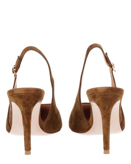 Gianvito Rossi Brown Shoe Robbie